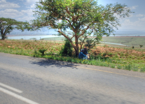 Two young men talking under a tree.